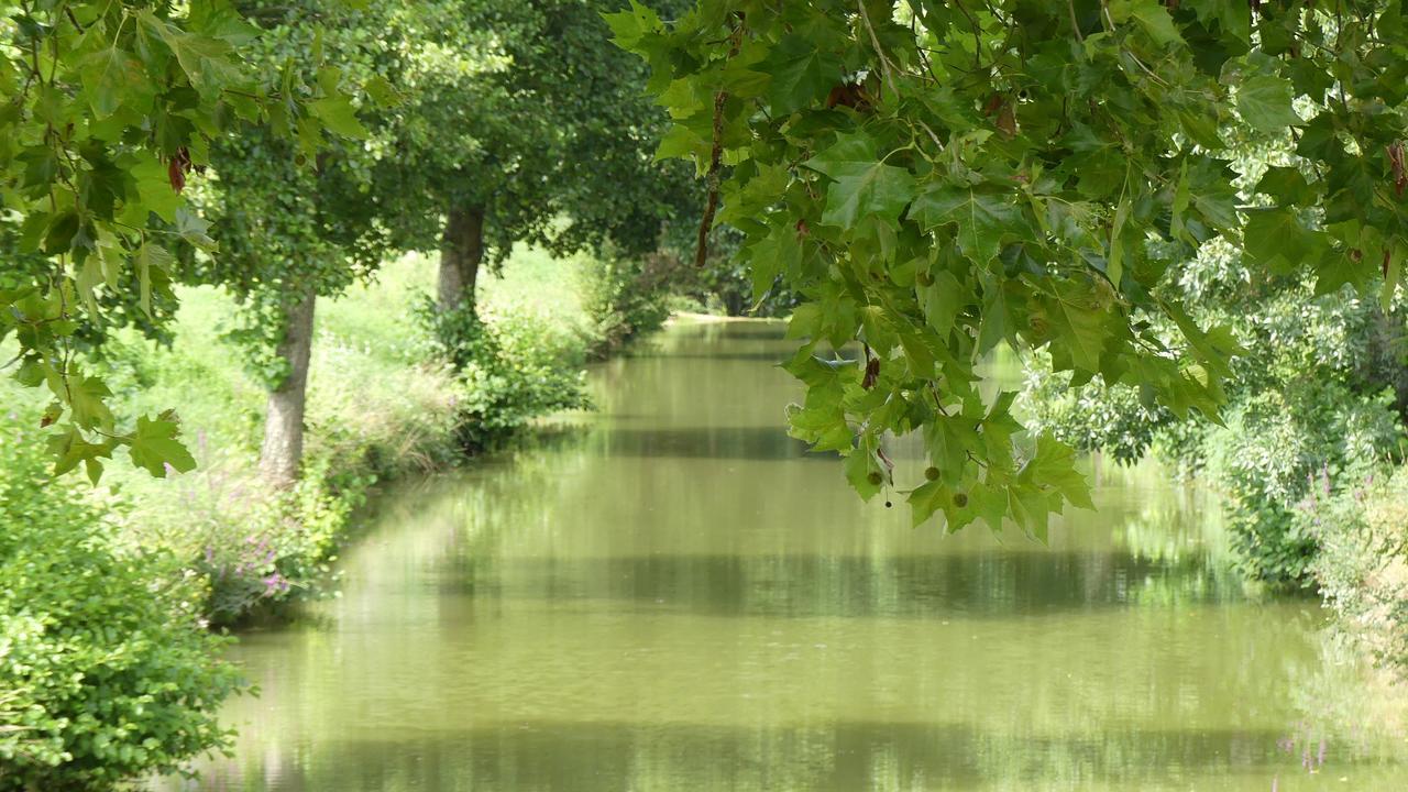 Vila Les Hirondelles Fourcès Exteriér fotografie